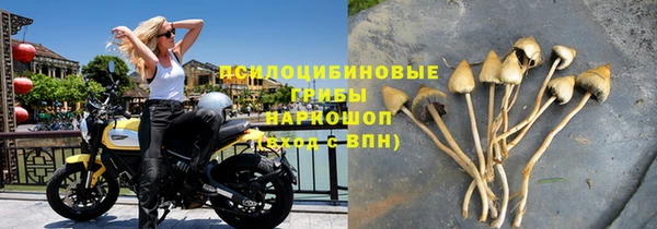 ALPHA PVP Богородск