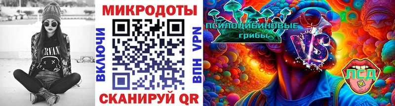 Купить закладки  Себеж  Галлюциногенные грибы Magic Shrooms 